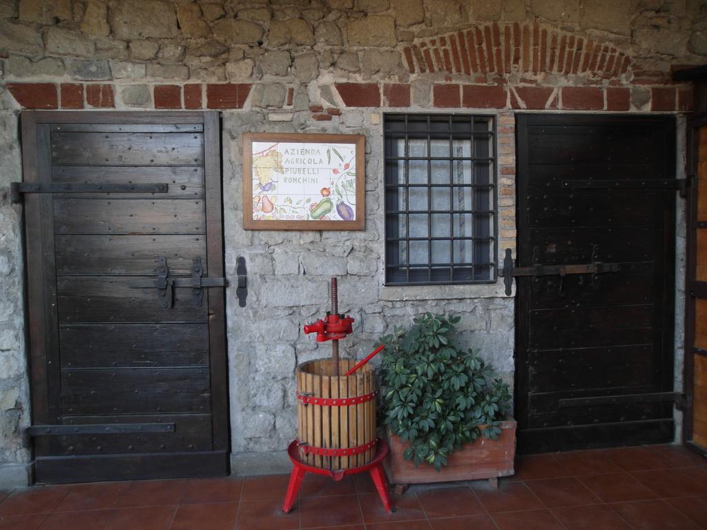 Casale Degli Archi Villa Castel Gandolfo Exteriör bild